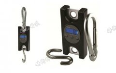 С���̟o��������ӋҎ(gu��)����̖