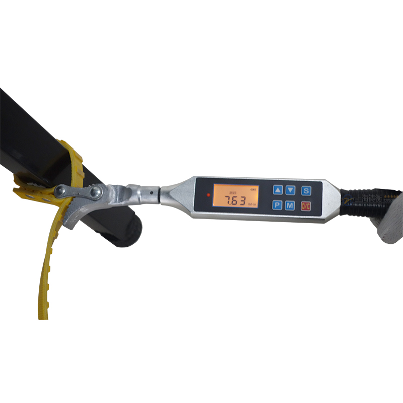 SGSX數字型扭力扳手