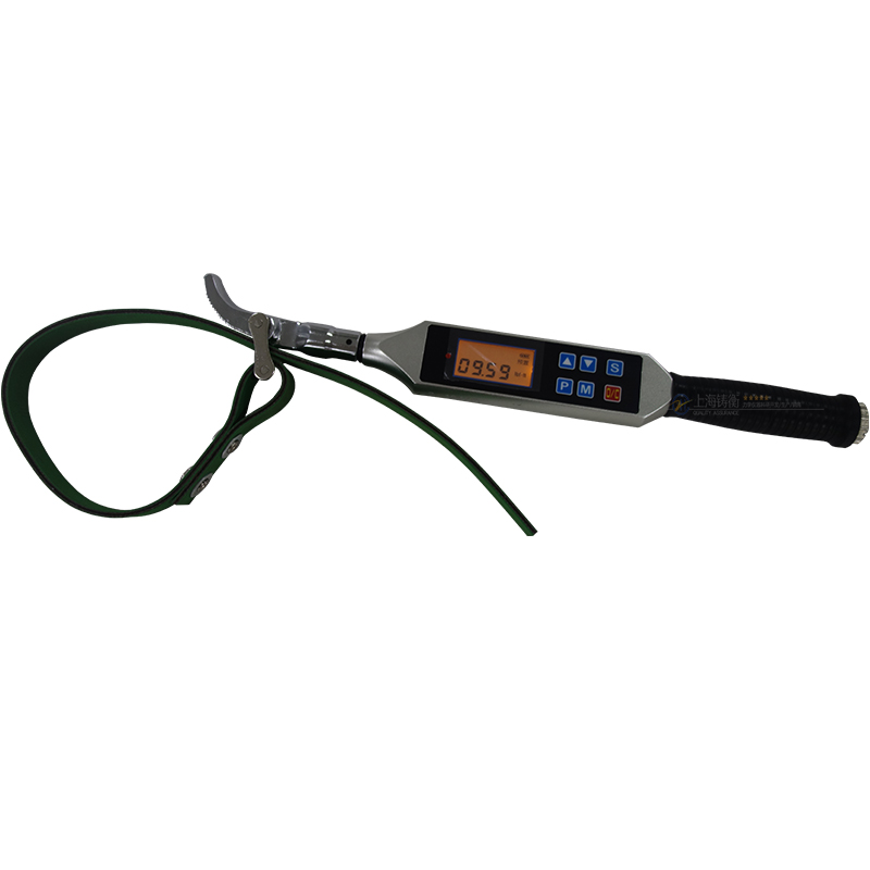 SGSX數顯扭矩檢測扳手